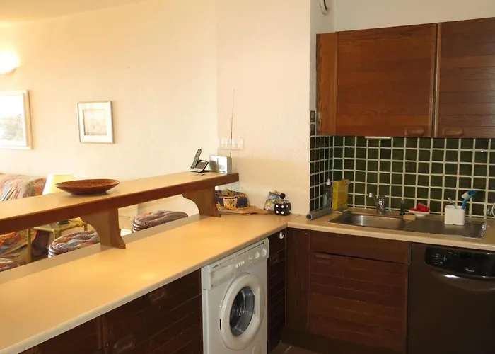 Apartment 4 Pieces Avec Garage Et Piscine, Accepte Petits Animaux - Fr-1-780-68