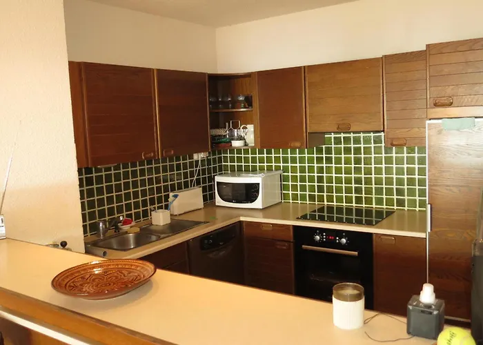 4 Pieces Avec Garage Et Piscine, Accepte Petits Animaux - Fr-1-780-68 Apartment *