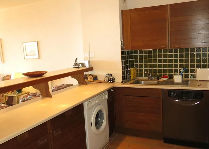 4 Pieces Avec Garage Et Piscine, Accepte Petits Animaux - Fr-1-780-68 * Sainte-Maxime